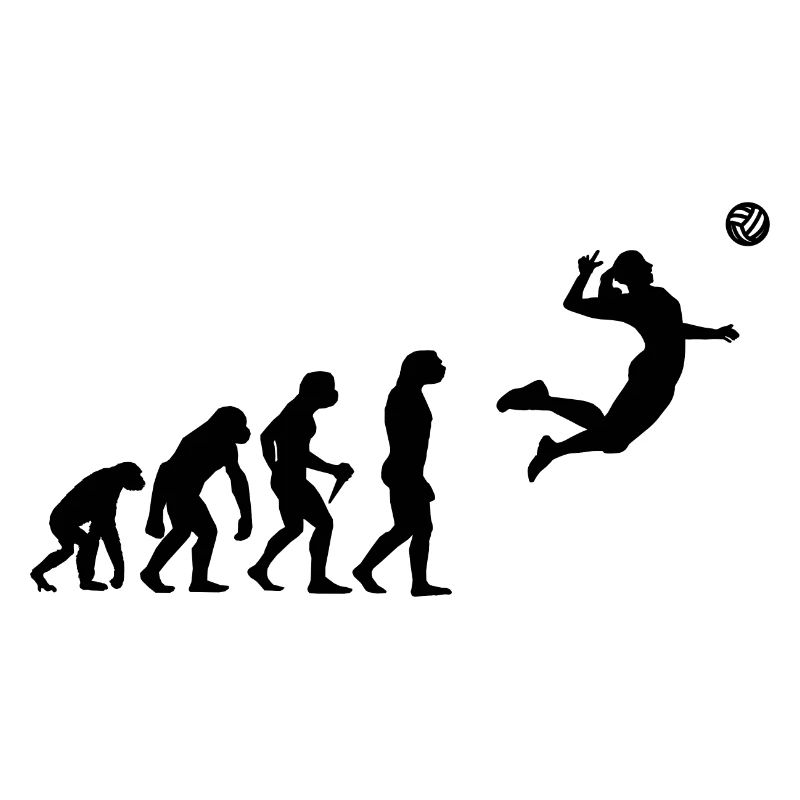 Volley Development Evolution Sport Volleyball Gesc