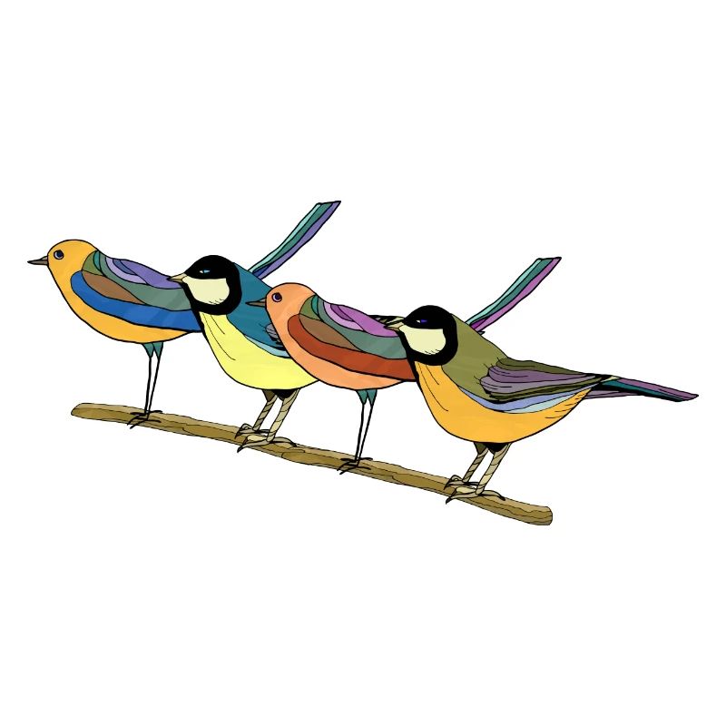 Oiseaux