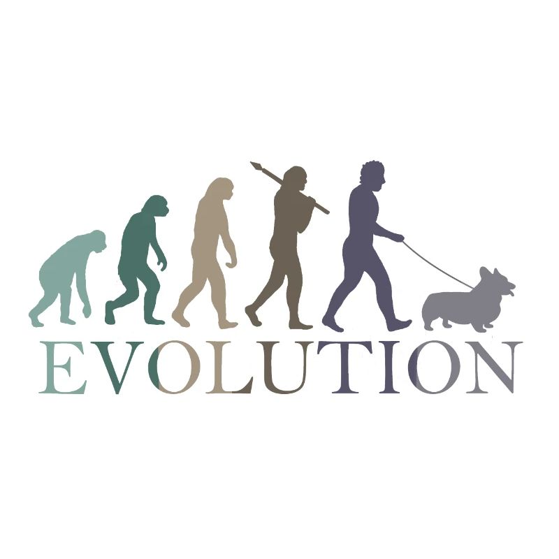 L’ÉVOLUTION DE LA CORGA