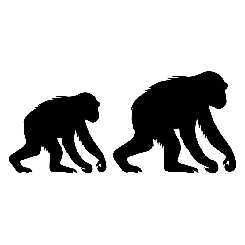 monkeys