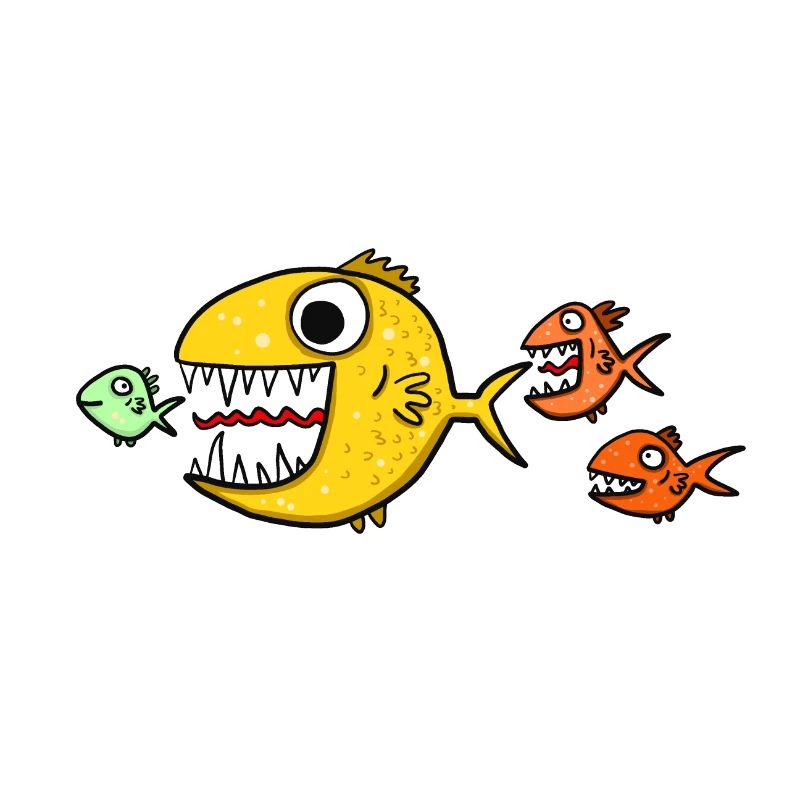 Predatory fish
