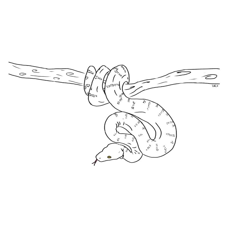 Snake (b&w)