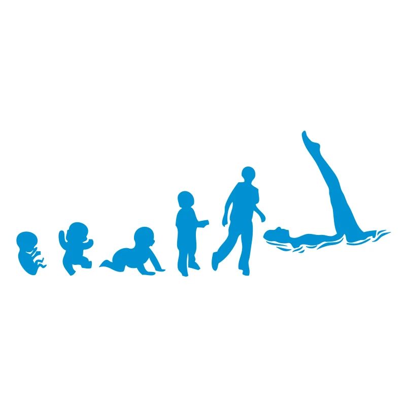 Evolution synchro swimming fetus human8