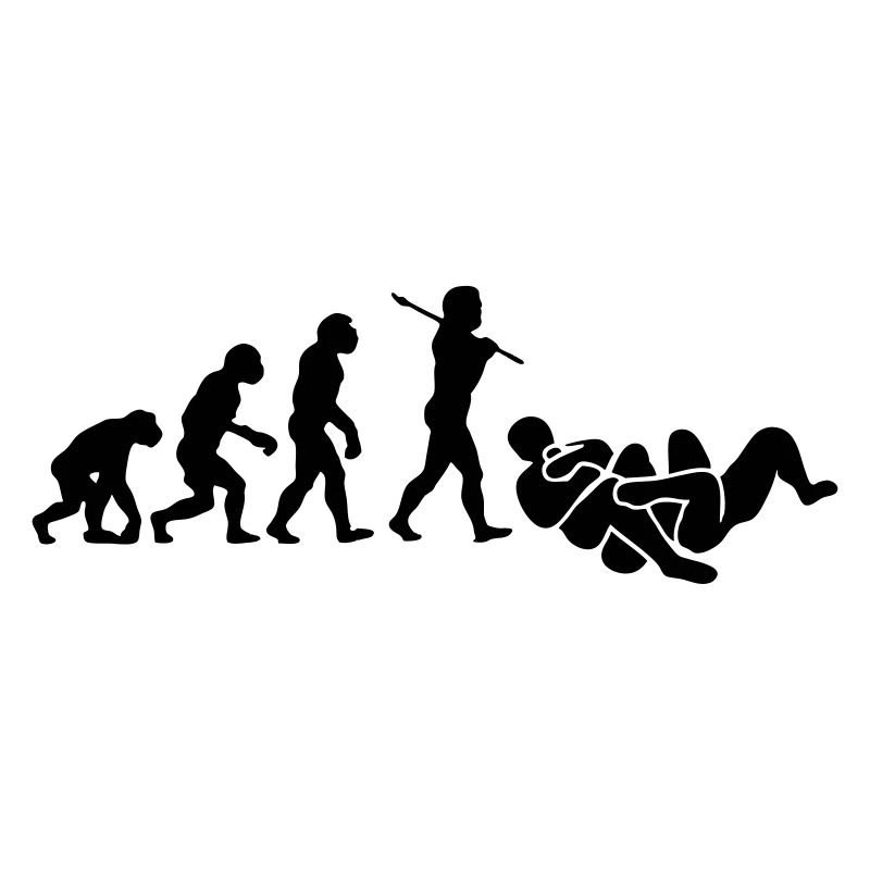 brazilian jiu jitsu bjj evolution 01