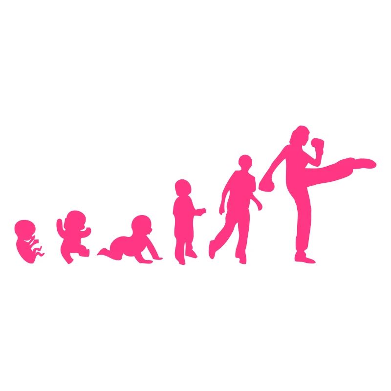 evolution franzoesisch boxen savate 4 fr