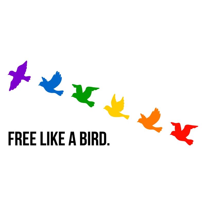 Libre comme un oiseau, aux couleurs de l’arc-en-ciel