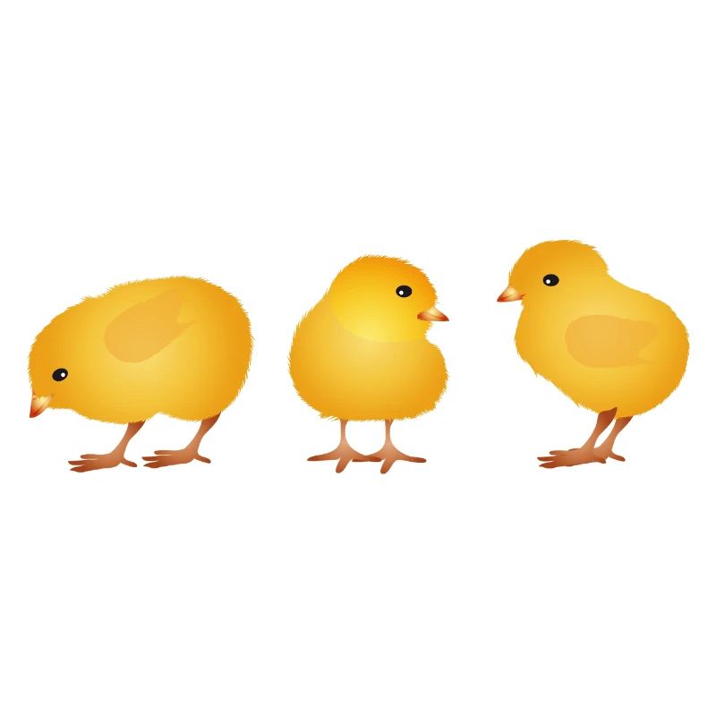 Chick – Cute Spring and Easter Motif