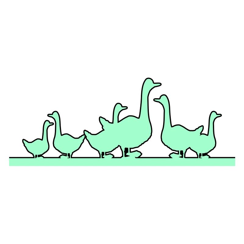 Ducks Geese