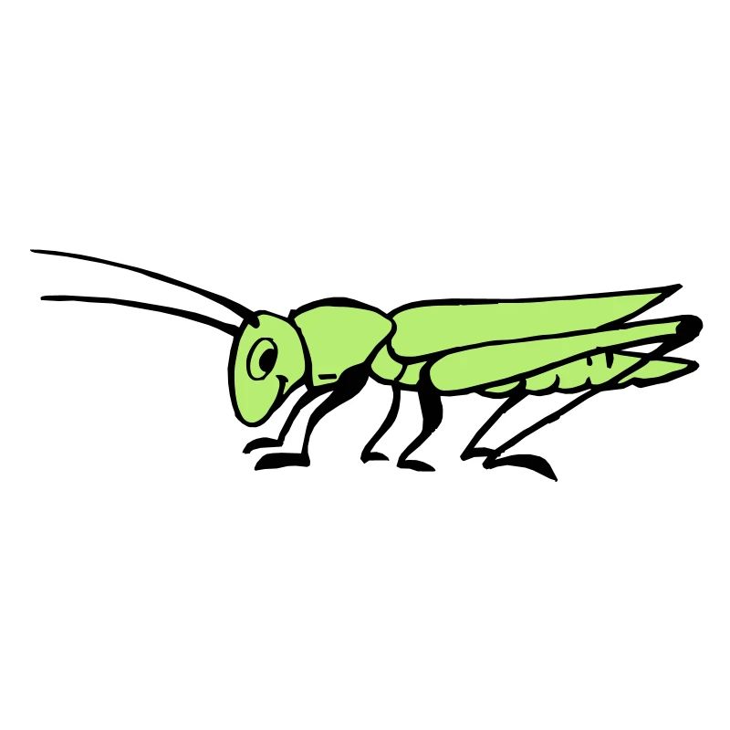 Grasshopper