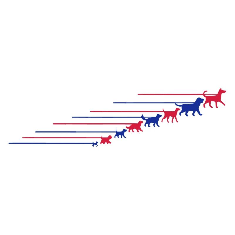 Dogs on a leash 5