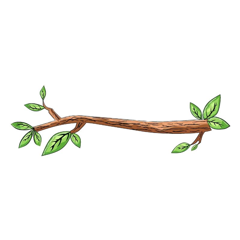 branch tree drawing leaf