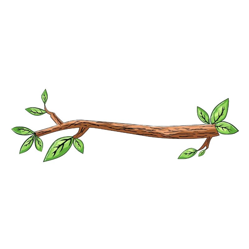 branch tree drawing leaf