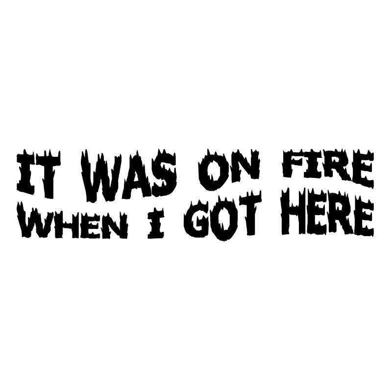 It Was On Fire When I Got Here 8