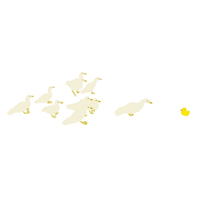 Canards et canards en caoutchouc