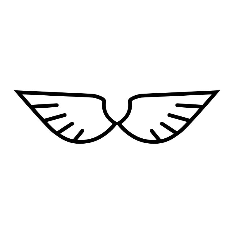 Wings