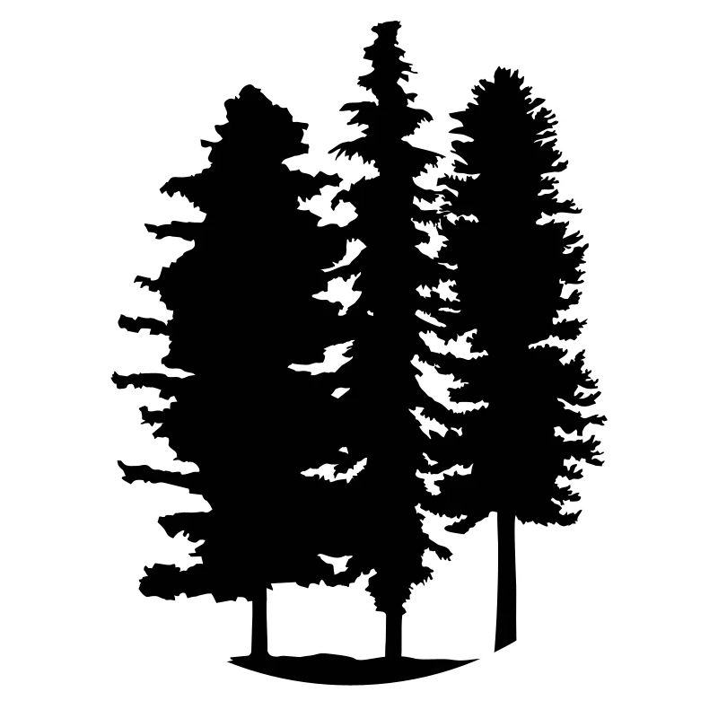 Trees, Forest - Forêt