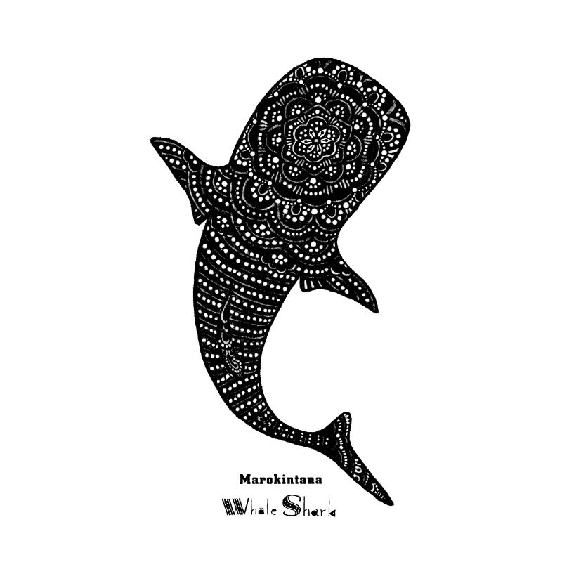 Morocco - Whale Shark - II