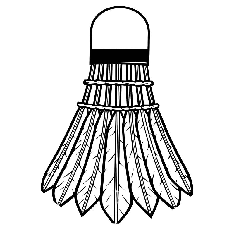 Badminton Racket Racketlon Shuttlecock