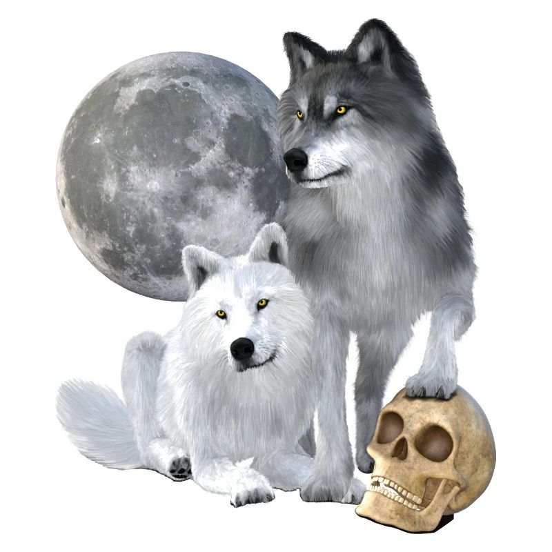 Wolves, white, grey, moon, skull