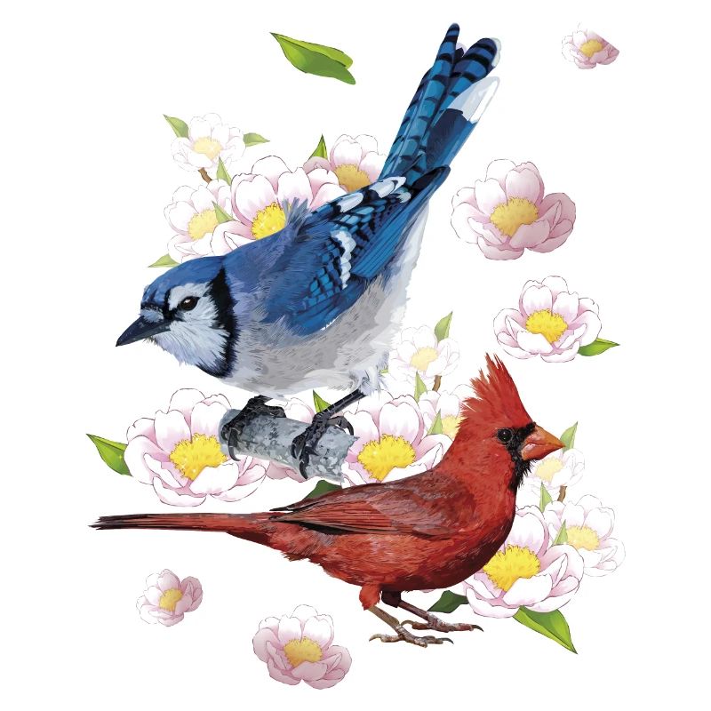Der nördliche Kardinal und der blaue Eichelhäher
