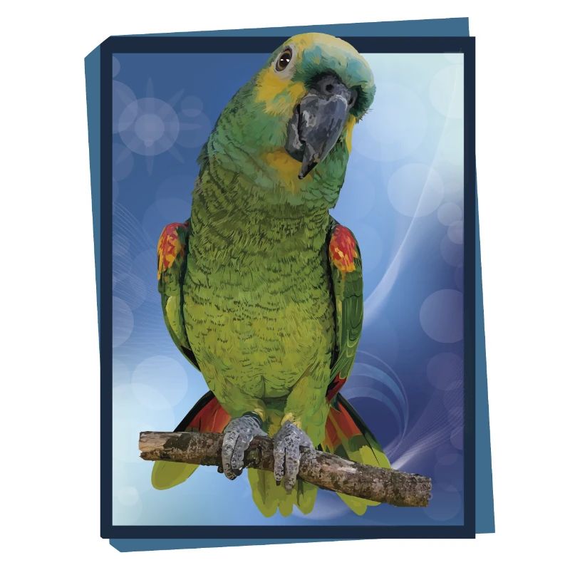 The blue-fronted amazon