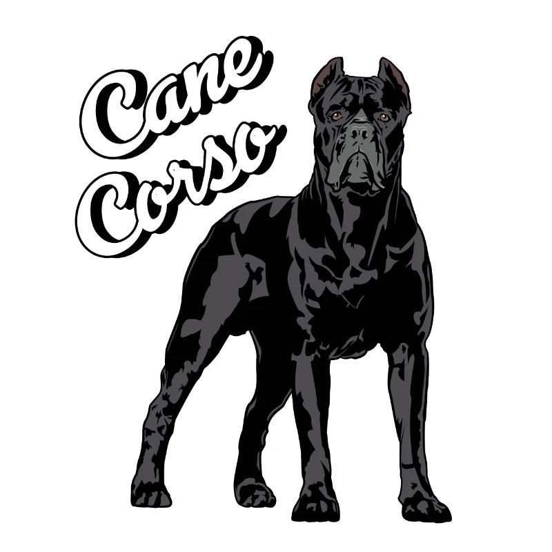 Cane Corso Molosser Mastiff Italian