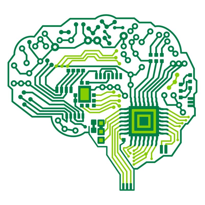 Brain