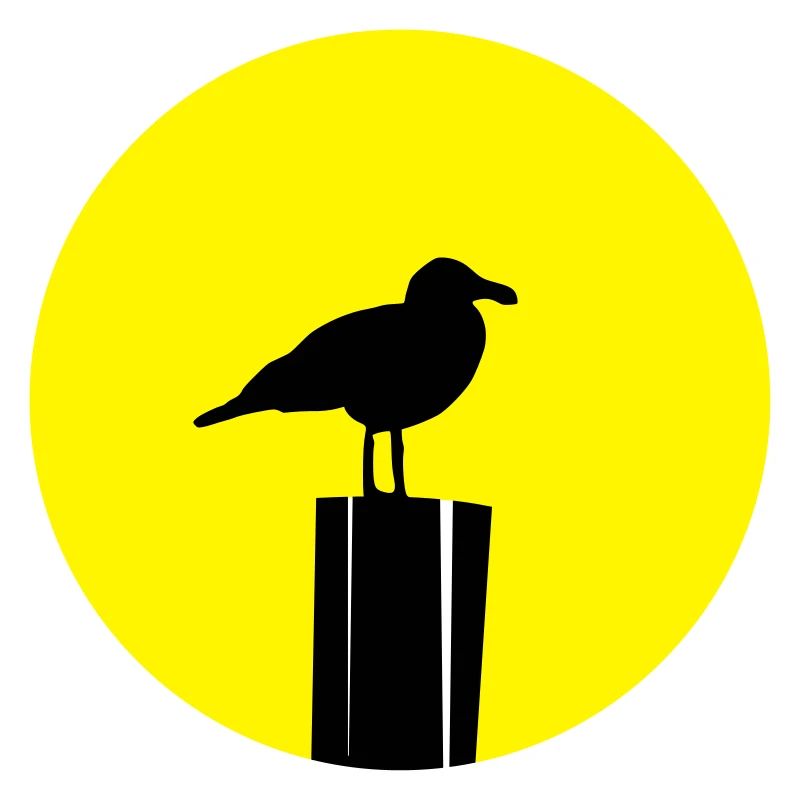 Möwe Sonne
