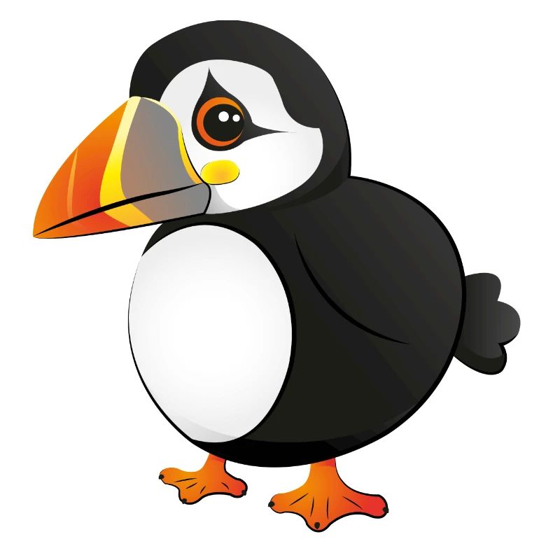 puffin
