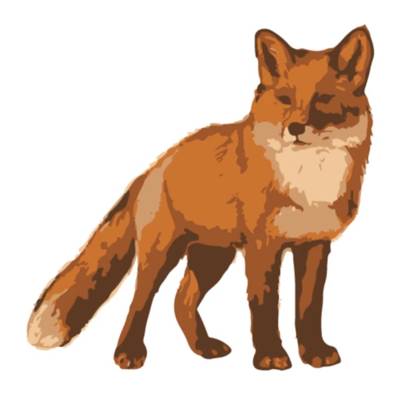 fox