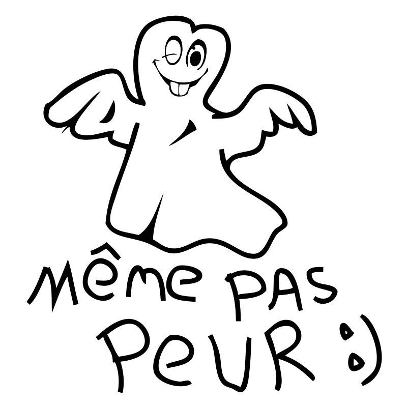 meme pas peur