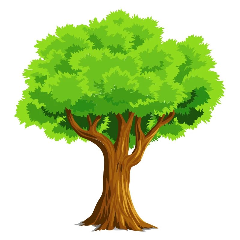 baum tree baumstamm wald forest woods33