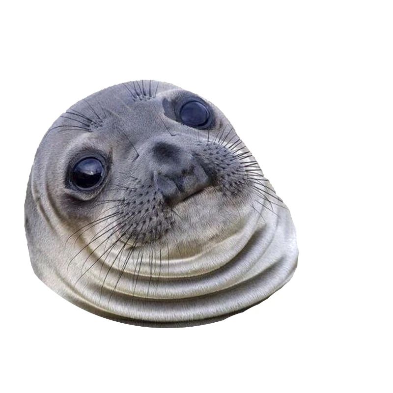 Awkward Seal