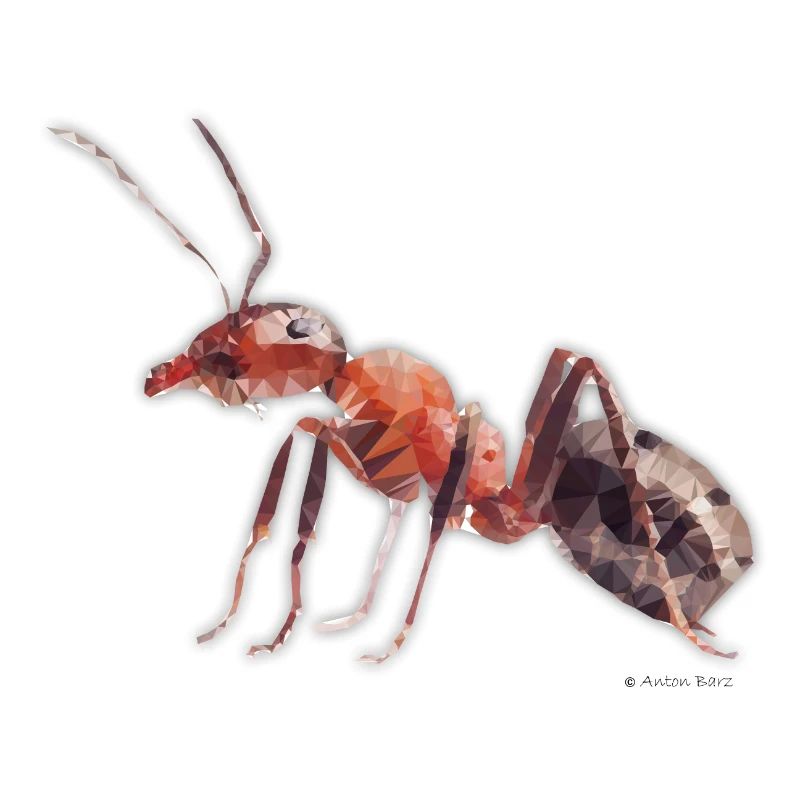 ant