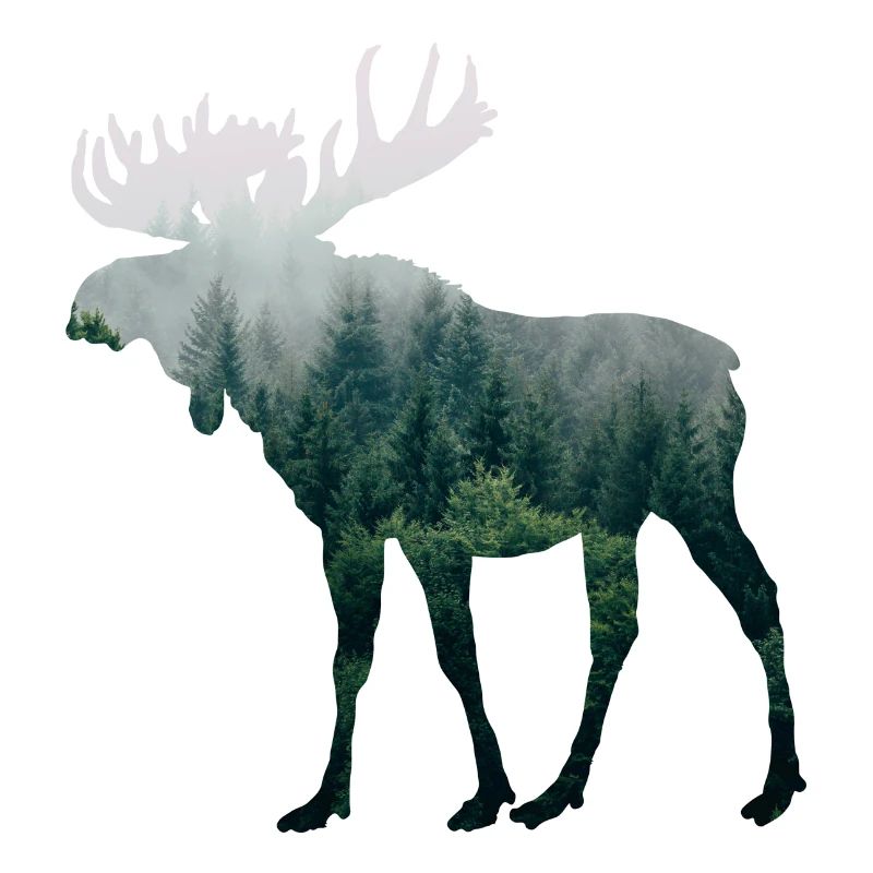 Moose