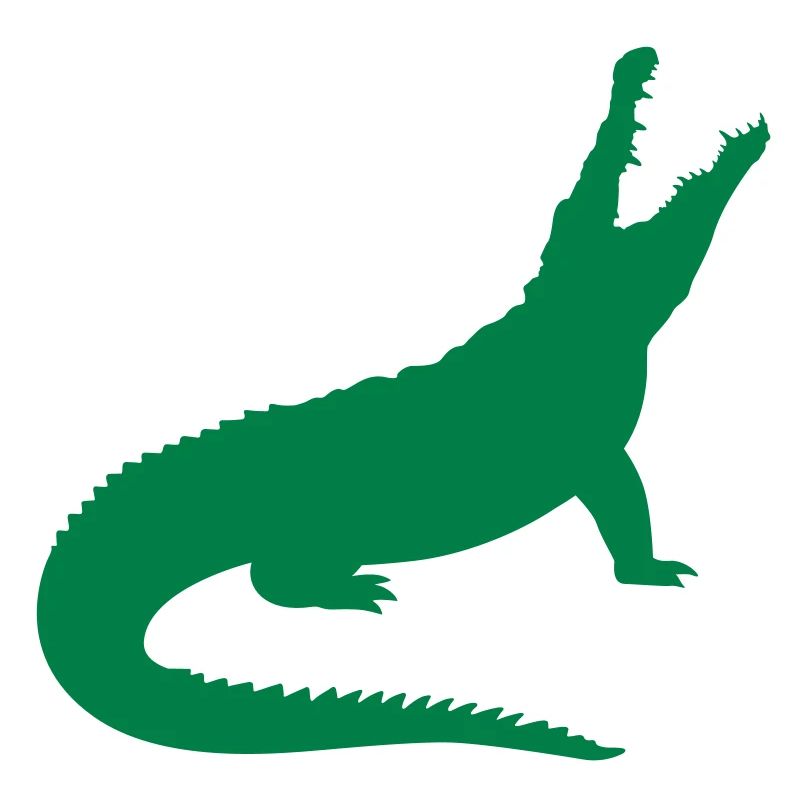 A crocodile