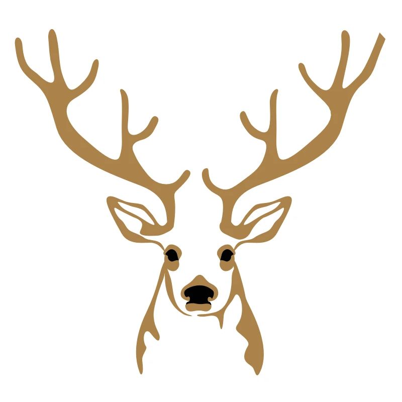 Hirsch