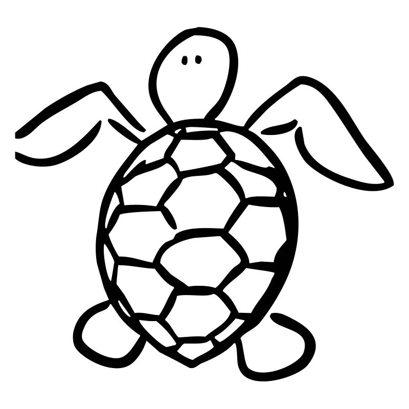 turtle