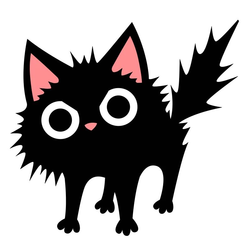 Schwarze Katze