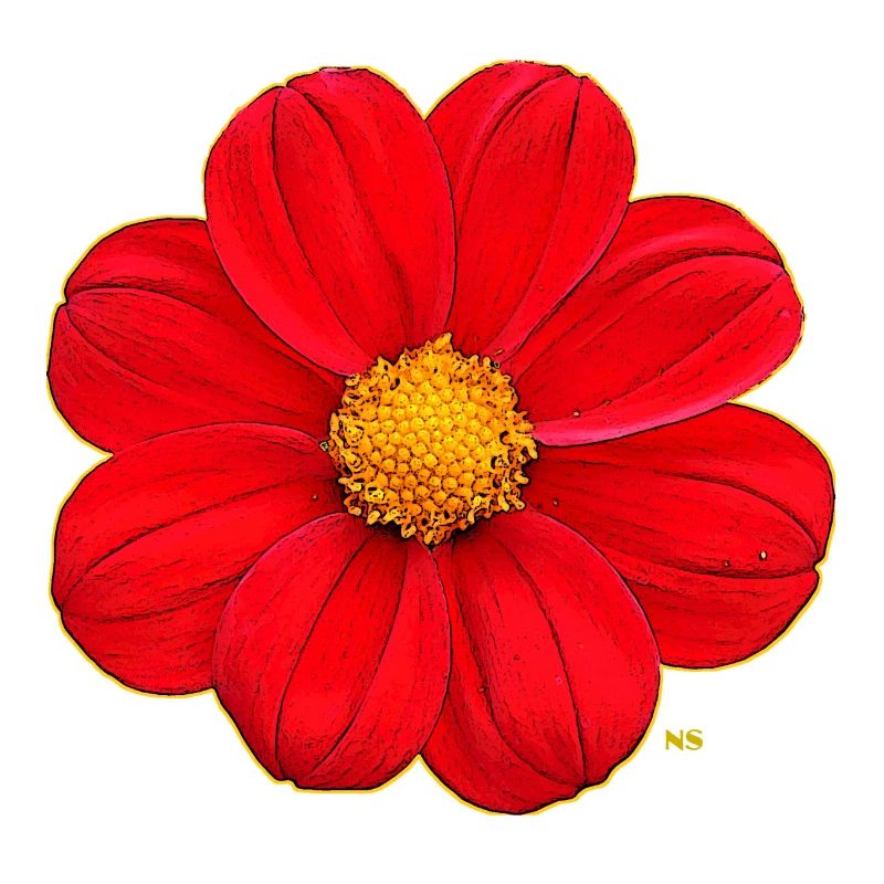 Rote Blume mit gelbem Herz