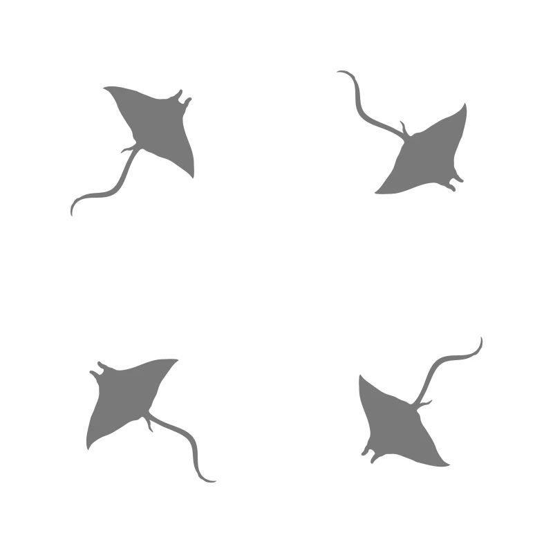 ring pattern circle stingray swim diving