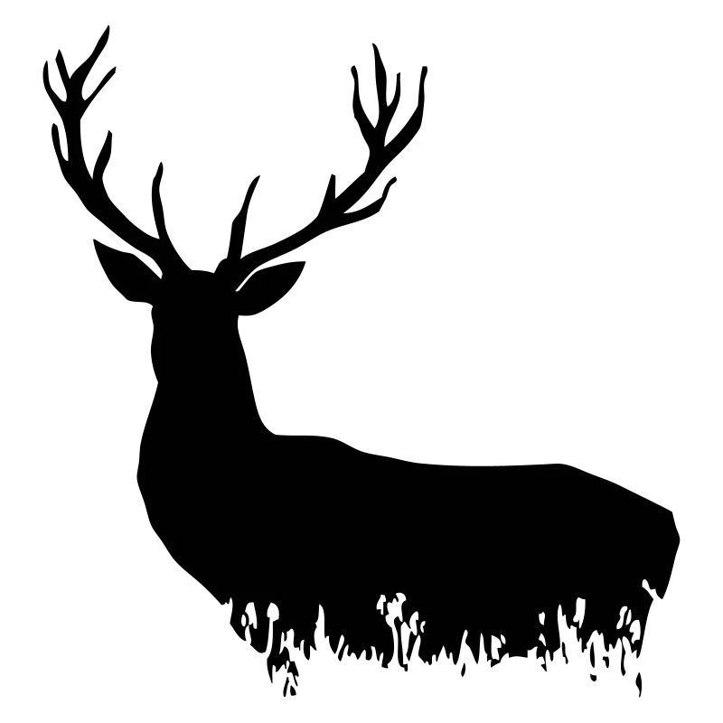 Deer - Hirsch