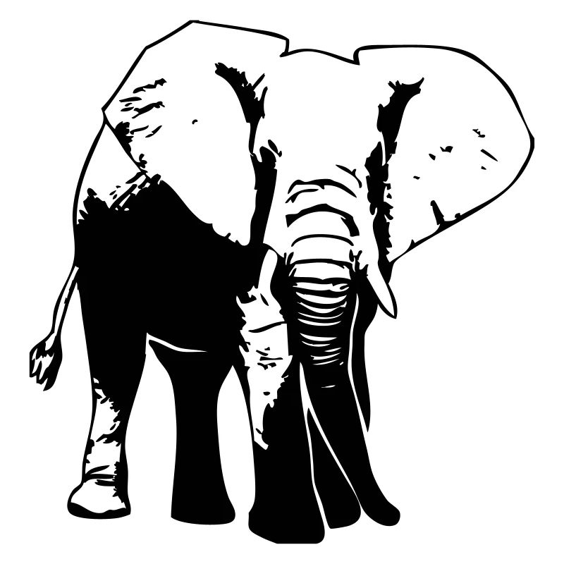 Elefant - Elephant