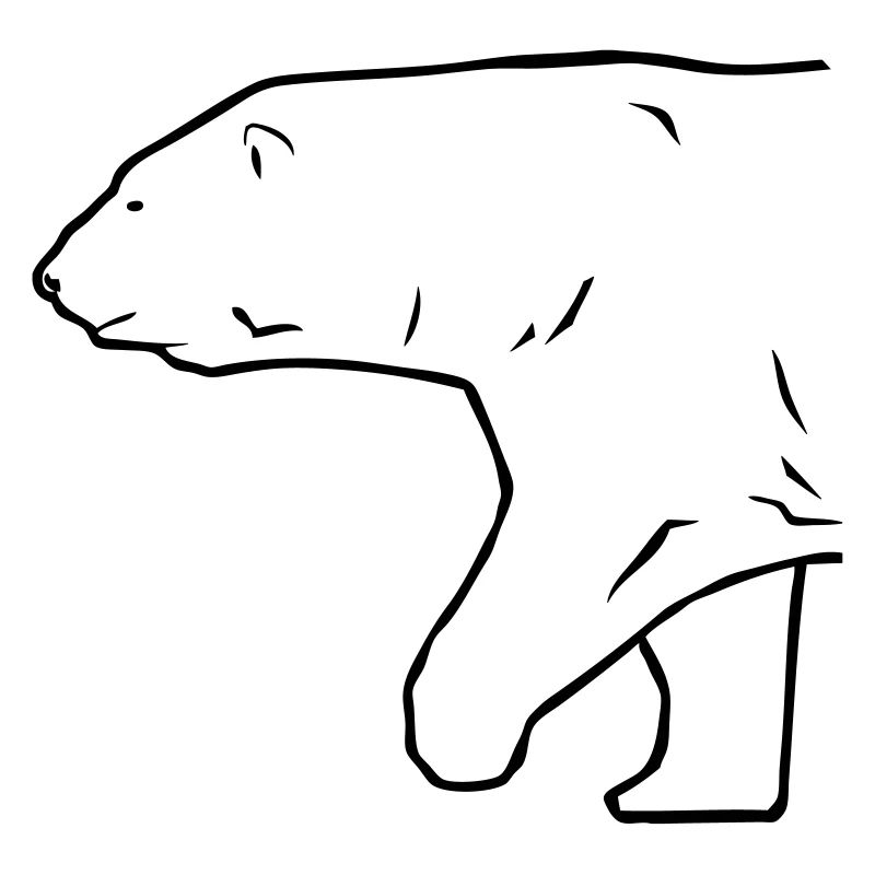 Polar Bear - Eisbär