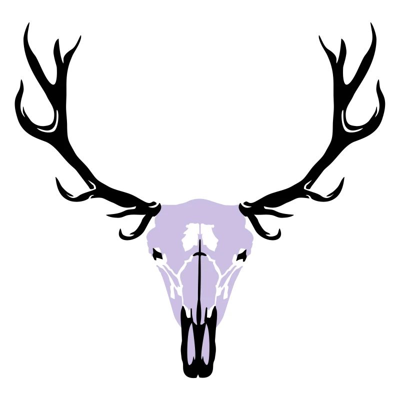 Hirschgeweih und Schädel