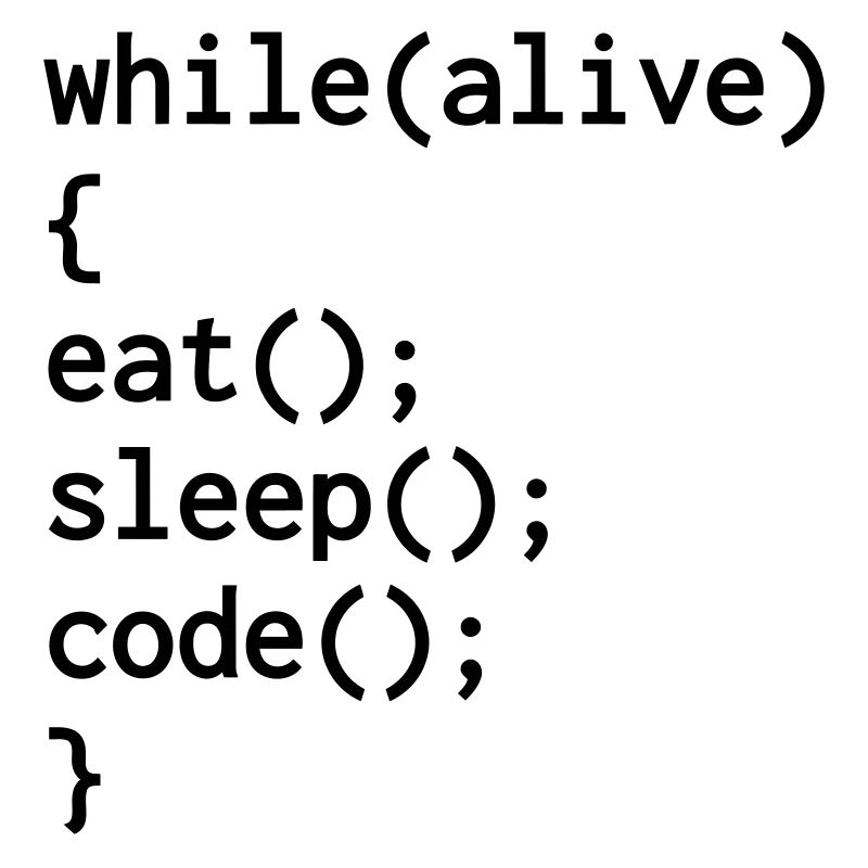 Developer Entwickler Développeur Computer Geek