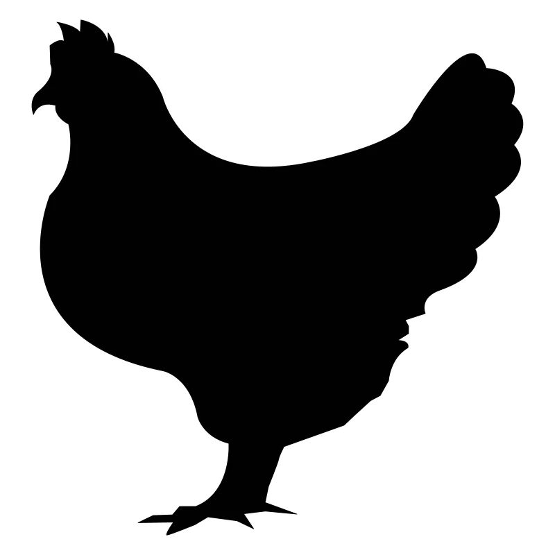 huhn_001