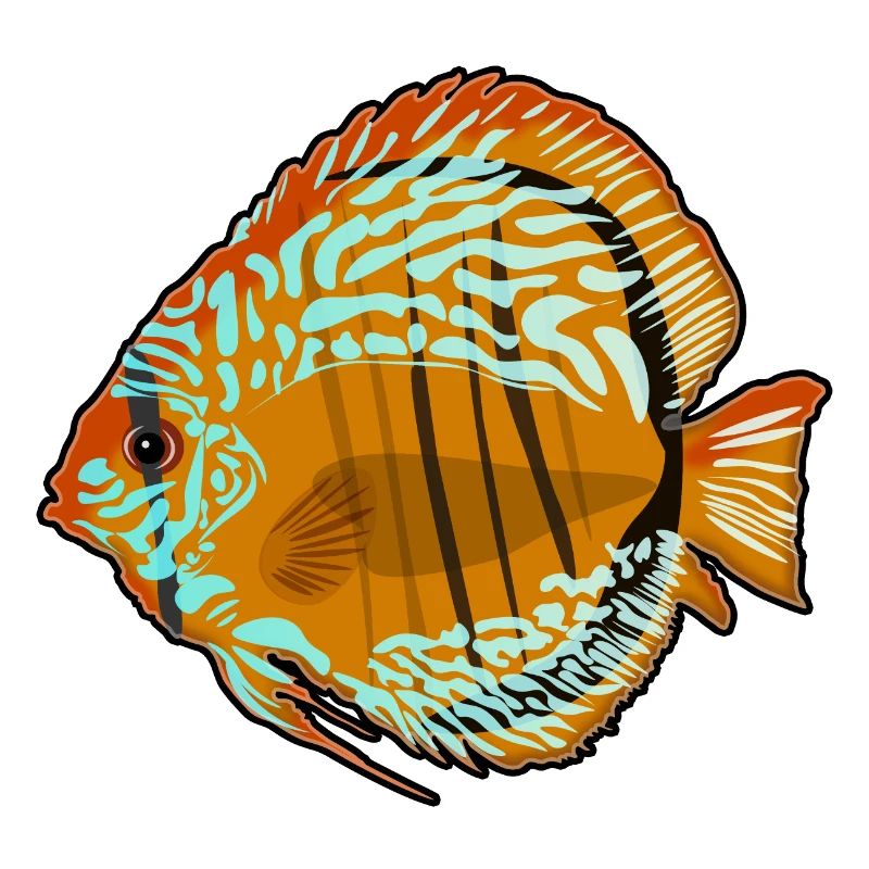Discus Fish Aquarium Drawing