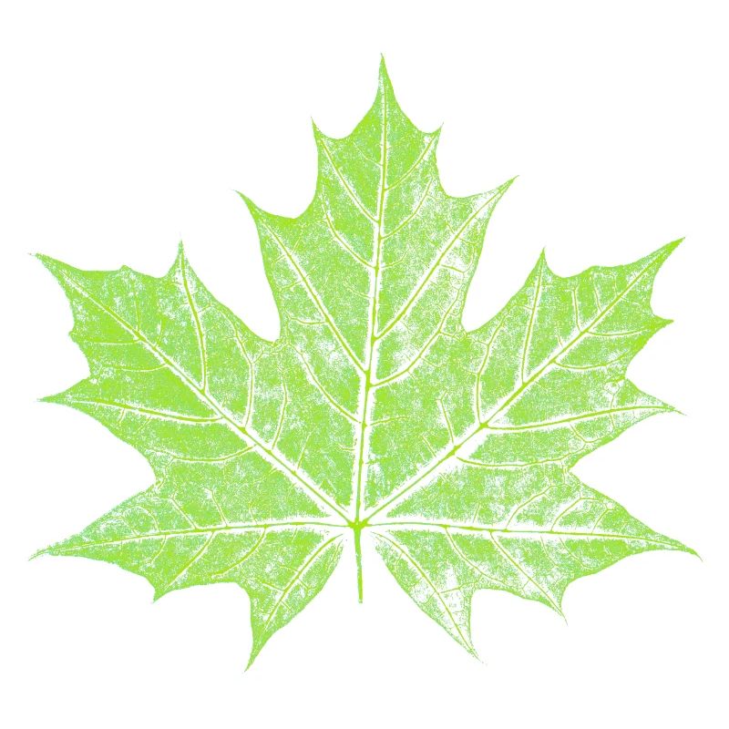 Maple Leaf - GREEN - Natural / Forest Design