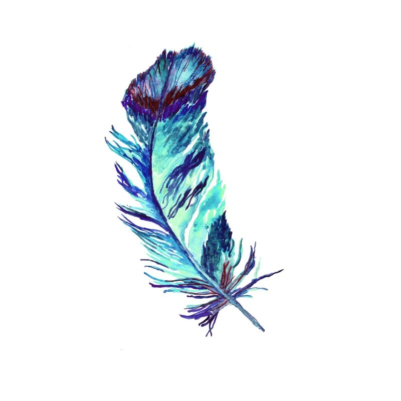 feathers